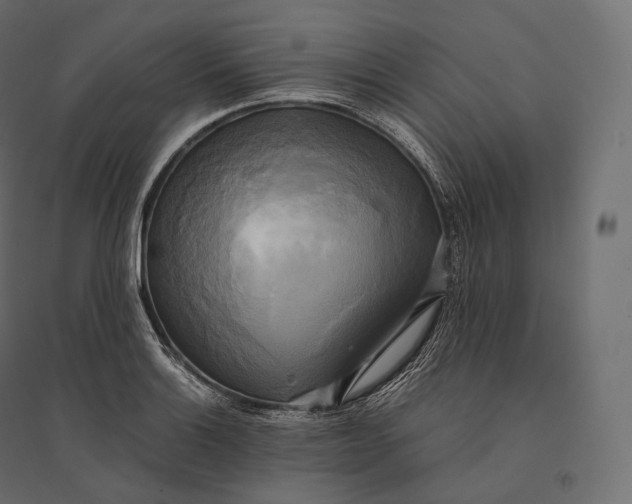 X0000094371132200711241954