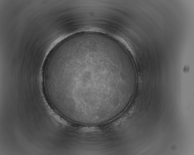 X0000094371133200711241954