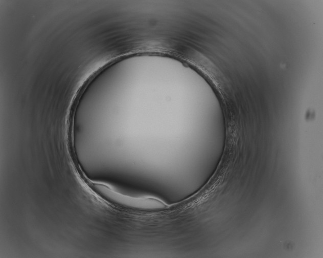 X0000094371135200711241954