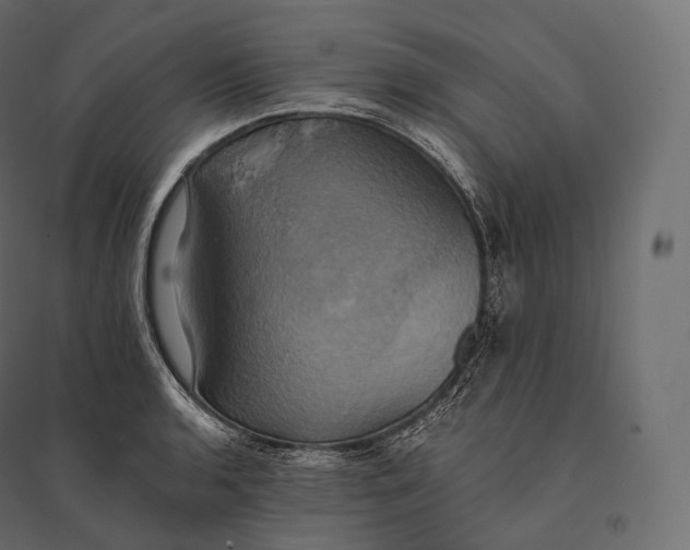 X0000094371136200711241954