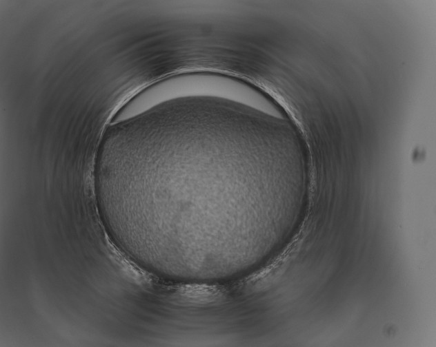 X0000094371137200711241954