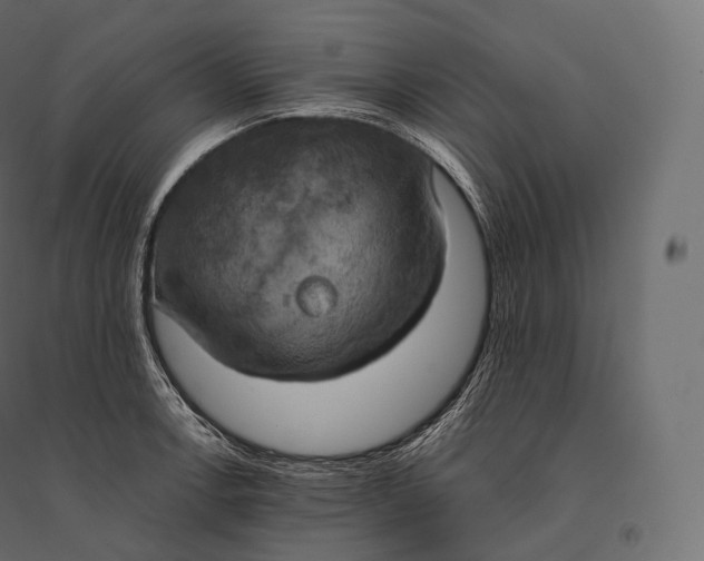 X0000094371138200711241954