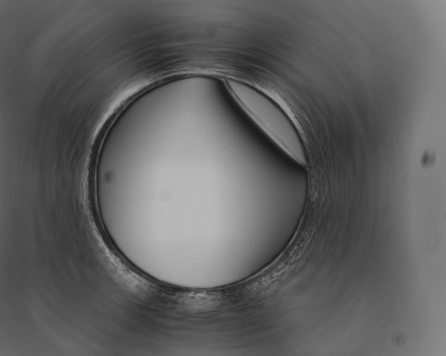 X0000094371139200711241954