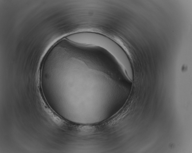 X0000094371140200711241954