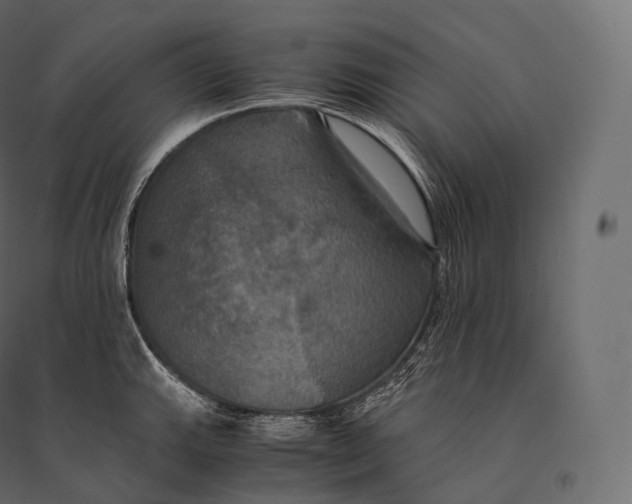 X0000094371143200711241954