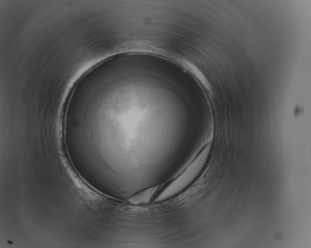 X0000094371144200711241954