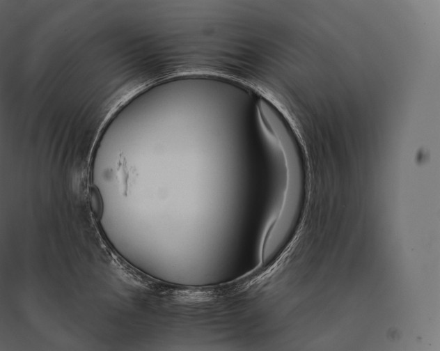 X0000094371145200711241954