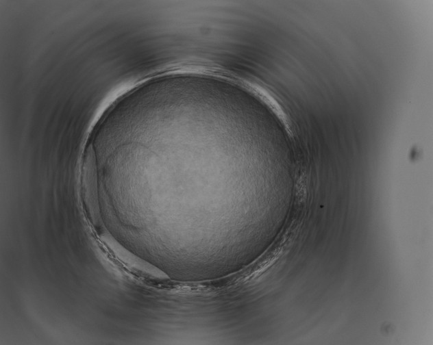 X0000094371146200711241954