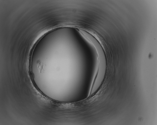 X0000094371147200711241954