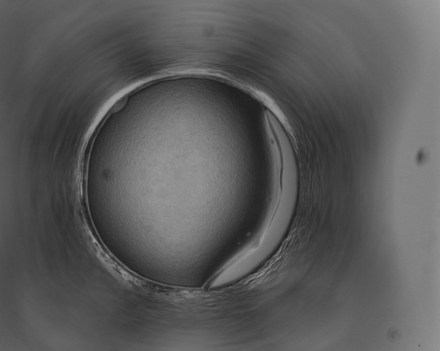 X0000094371148200711241954