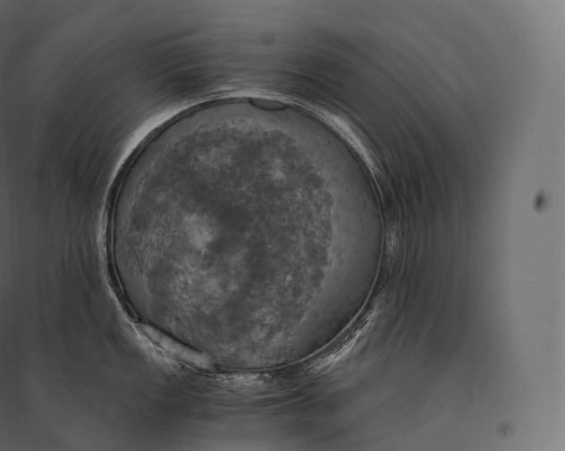 X0000094371149200711241954