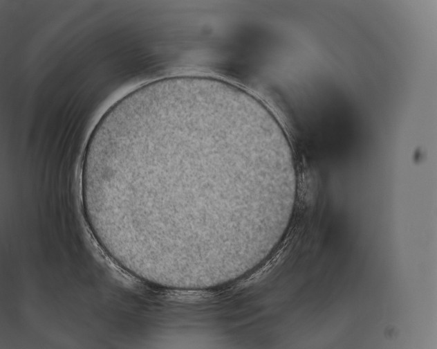 X0000094371150200711241954