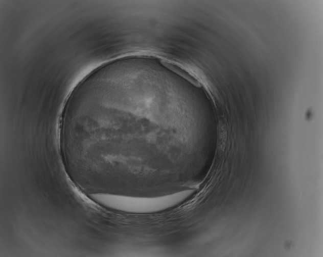 X0000094371151200711241954