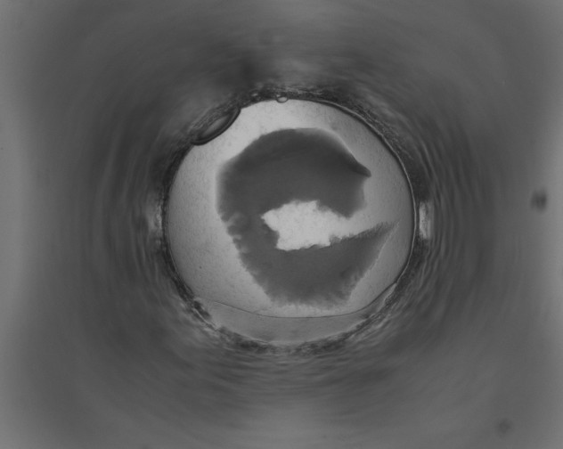 X0000094371155200711241953