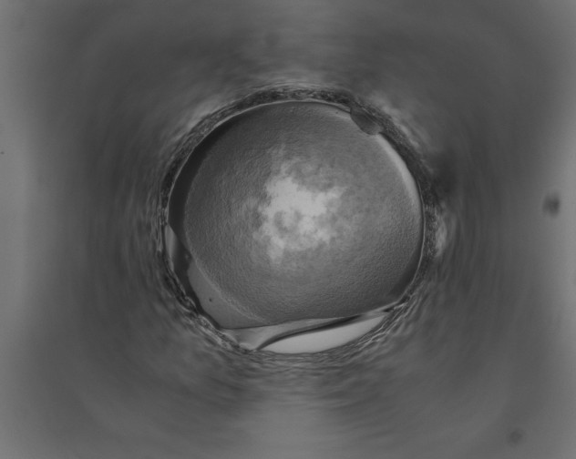 X0000094371157200711241953