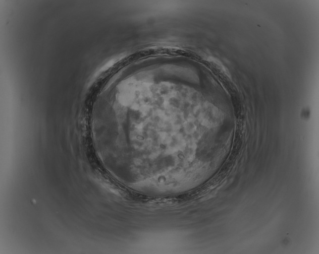 X0000094371159200711241953