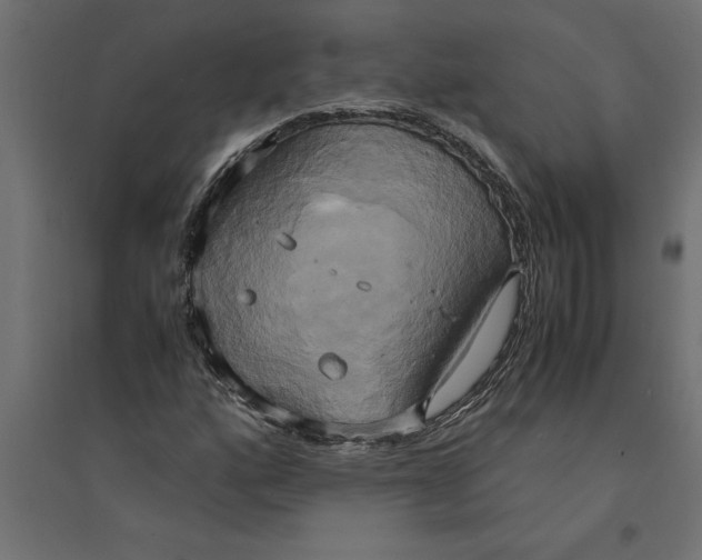 X0000094371160200711241953