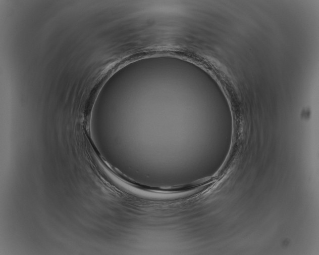 X0000094371161200711241953