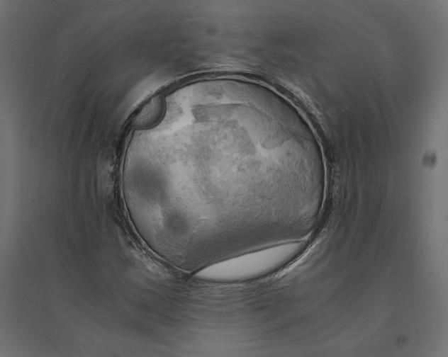 X0000094371163200711241953