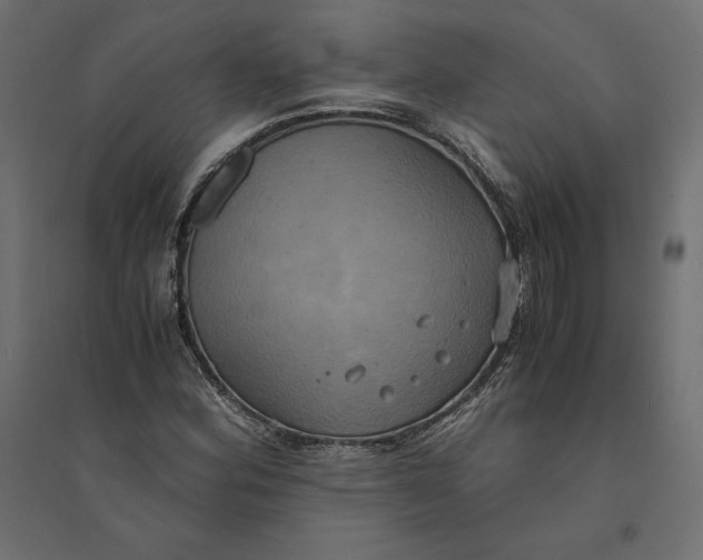 X0000094371164200711241953