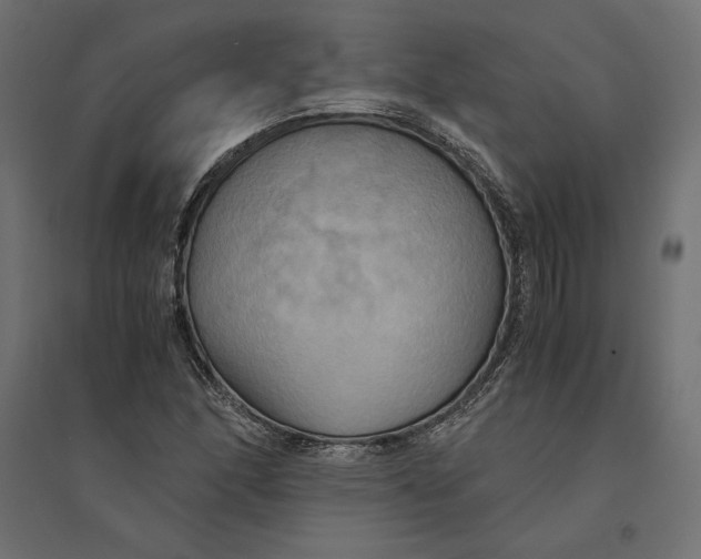 X0000094371166200711241953