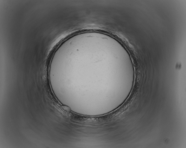 X0000094371167200711241953