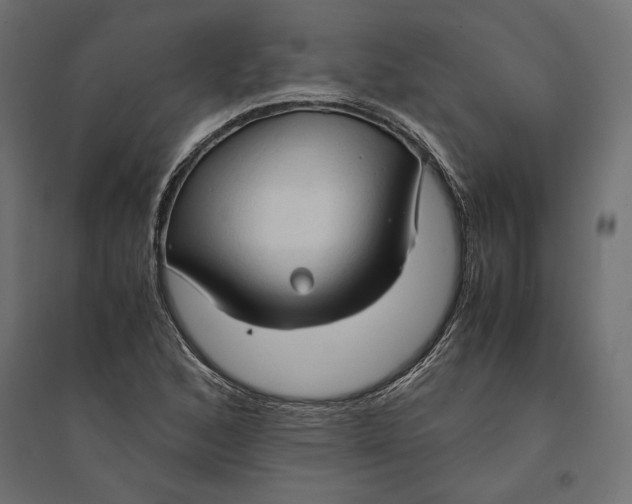 X0000094371168200711241953