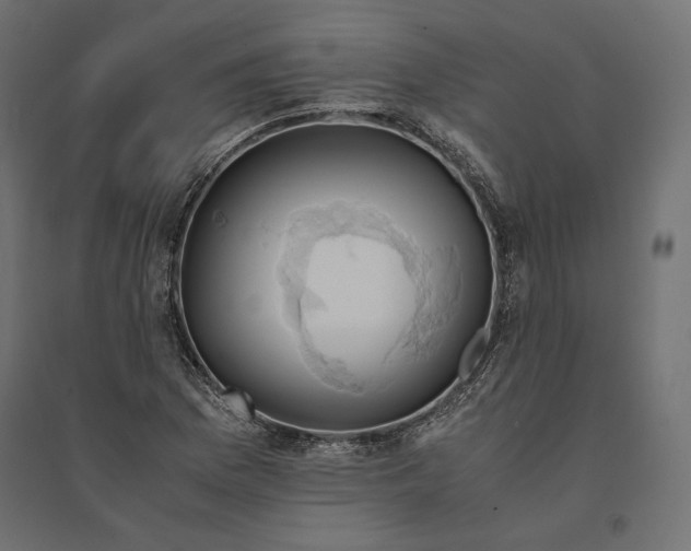 X0000094371169200711241953