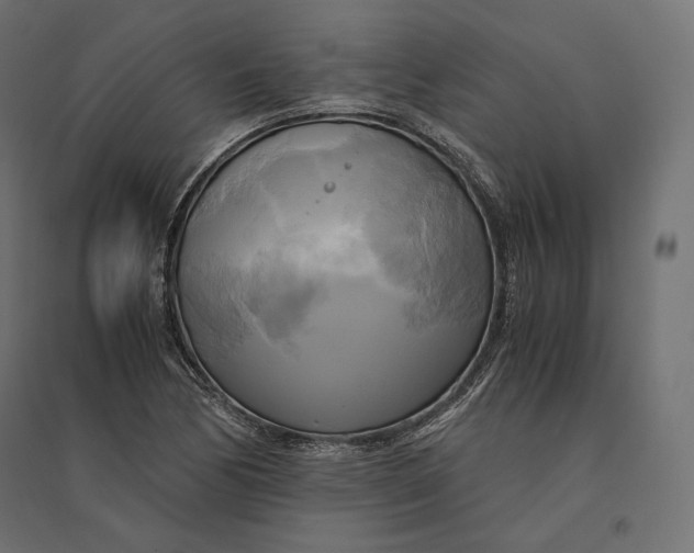 X0000094371170200711241953