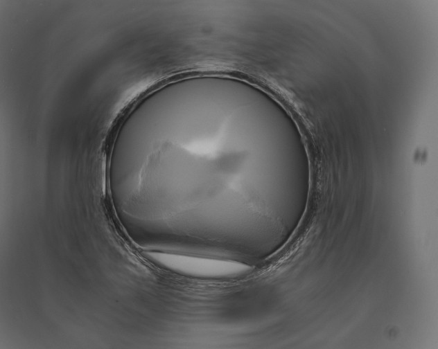 X0000094371171200711241953