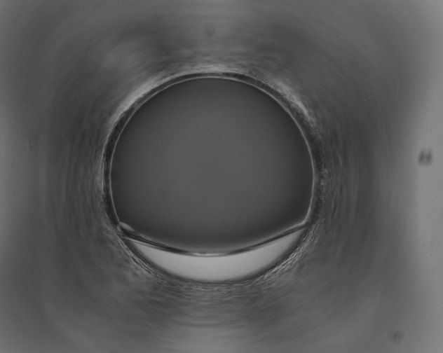 X0000094371173200711241953