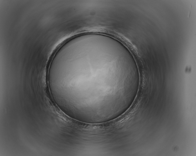 X0000094371174200711241953