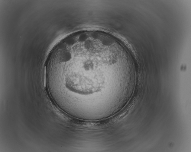 X0000094371175200711241953