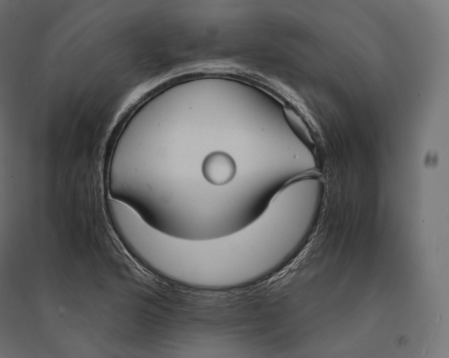 X0000094371176200711241953