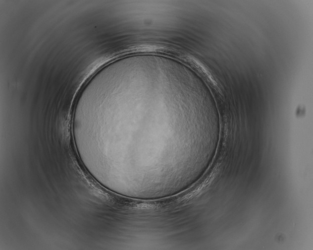 X0000094371178200711241953