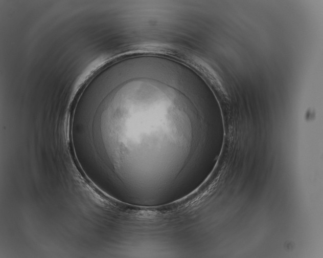 X0000094371180200711241953