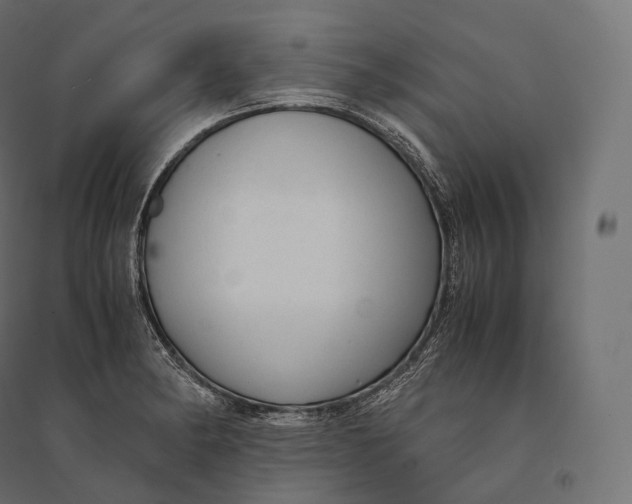 X0000094371182200711241953