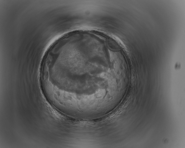 X0000094371183200711241953