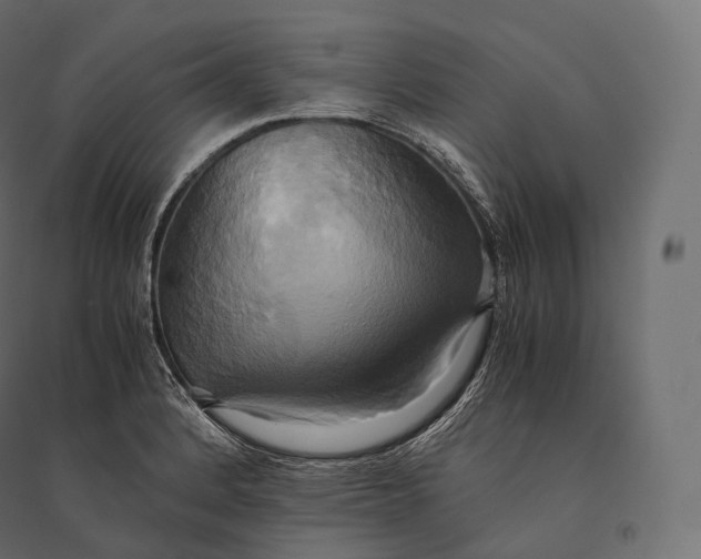 X0000094371184200711241953