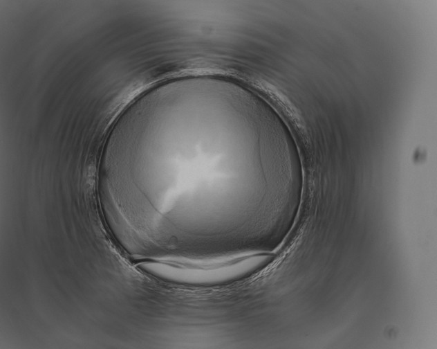 X0000094371185200711241953