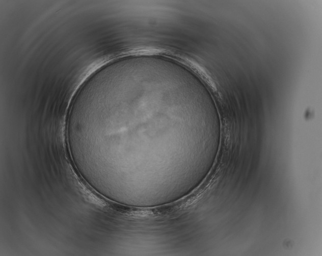 X0000094371186200711241953