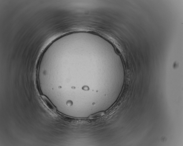 X0000094371187200711241953