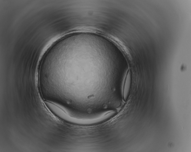 X0000094371188200711241953