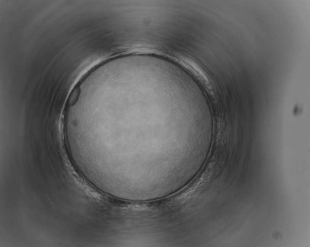 X0000094371190200711241953