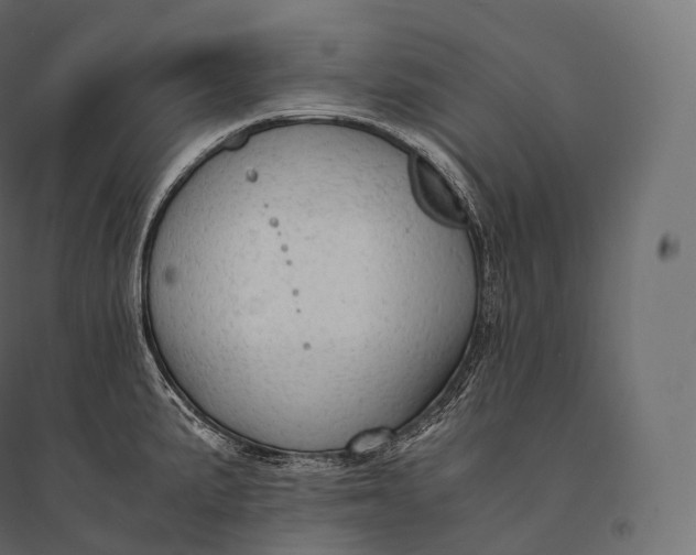 X0000094371191200711241953