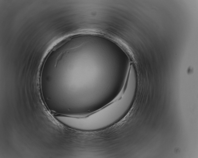 X0000094371192200711241953