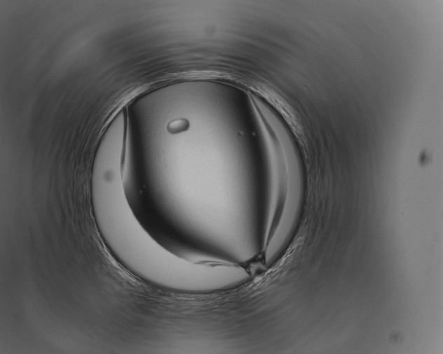 X0000094371193200711241953