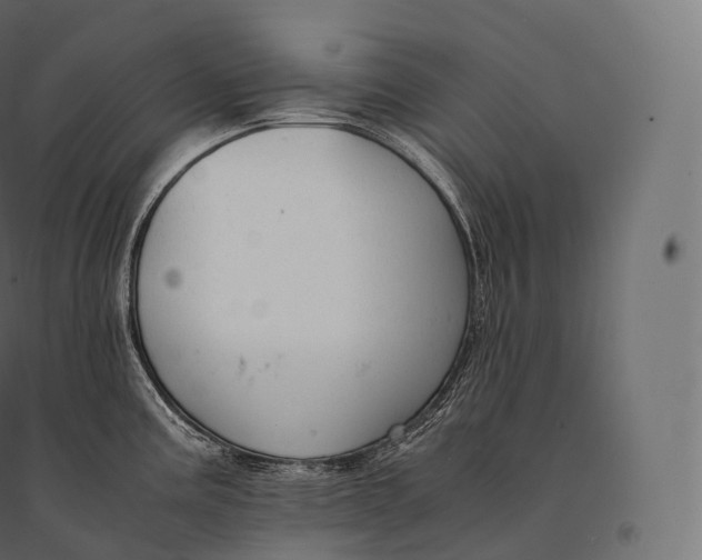 X0000094371195200711241953