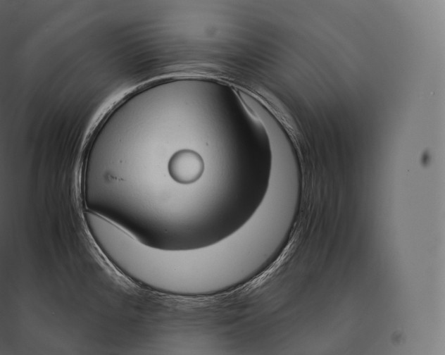 X0000094371196200711241953