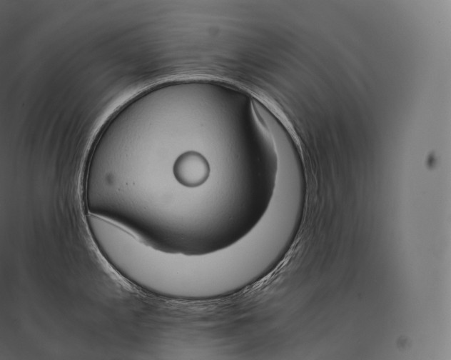 X0000094371197200711241953